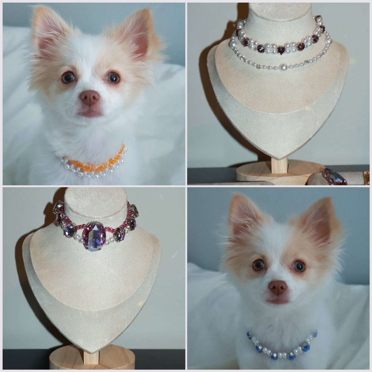 Pet Necklace