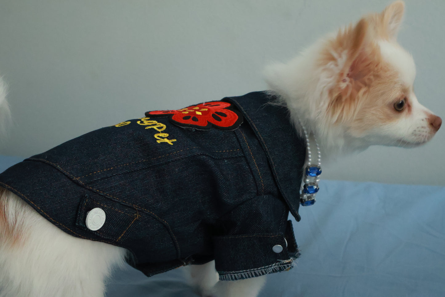 RoadStar Denim Jacket for Dogs – Both Boys and Girls, Unisex Lightweight and Breathable, Perfect for Mild Weather, Comfortable Fit - Dog Trendy Fashion Essential